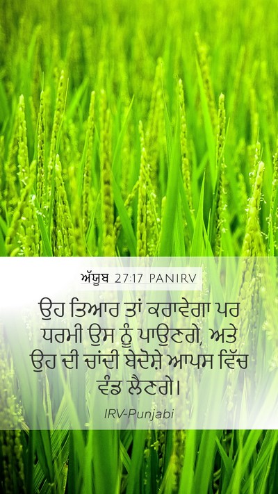 ਅੱਯੂਬ 27:17 PANIRV Mobile Phone Wallpaper - ਉਹ ਤਿਆਰ ਤਾਂ - Mobile Bible Verse Wallpaper