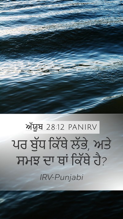ਅੱਯੂਬ 28:12 PANIRV Bible Verse Image