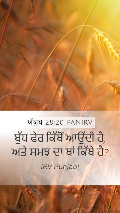 ਅੱਯੂਬ 28:20 PANIRV Bible Verse Image
