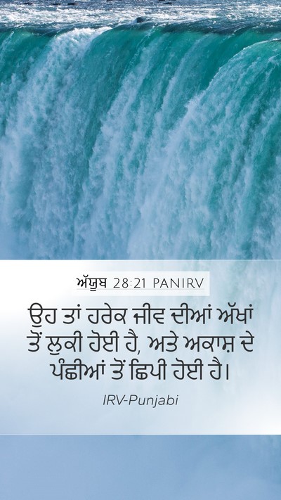 ਅੱਯੂਬ 28:21 PANIRV Bible Verse Image