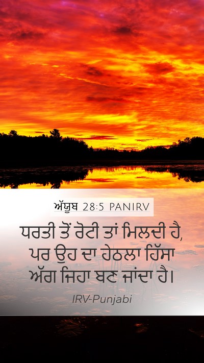 ਅੱਯੂਬ 28:5 PANIRV Bible Verse Image