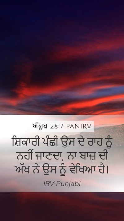 ਅੱਯੂਬ 28:7 PANIRV Bible Verse Image