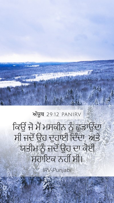 ਅੱਯੂਬ 29:12 PANIRV Bible Verse Image
