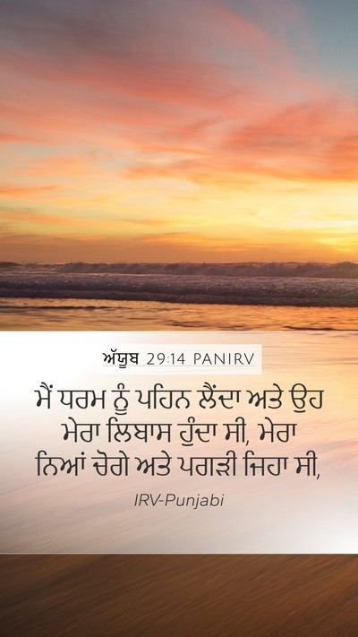 ਅੱਯੂਬ 29:14 PANIRV Bible Verse Image