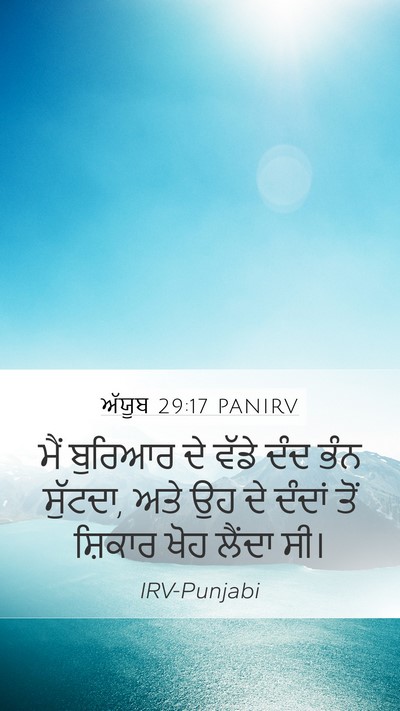 ਅੱਯੂਬ 29:17 PANIRV Mobile Phone Wallpaper - ਮੈਂ ਬੁਰਿਆਰ ਦੇ ਵੱਡੇ - Mobile Bible Verse Wallpaper