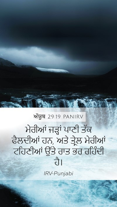 ਅੱਯੂਬ 29:19 PANIRV Bible Verse Image