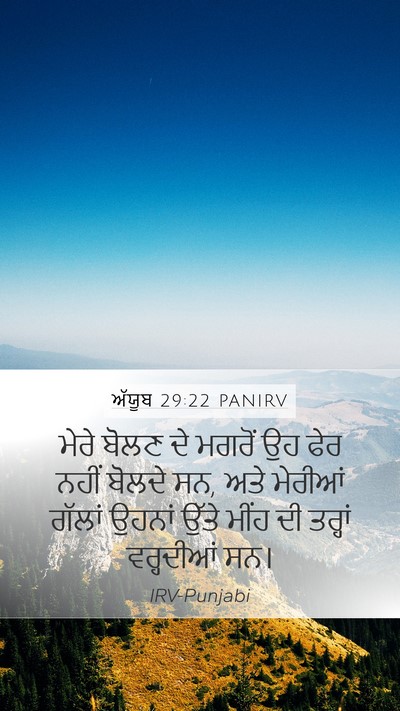 ਅੱਯੂਬ 29:22 PANIRV Mobile Phone Wallpaper - ਮੇਰੇ ਬੋਲਣ ਦੇ ਮਗਰੋਂ - Mobile Bible Verse Wallpaper