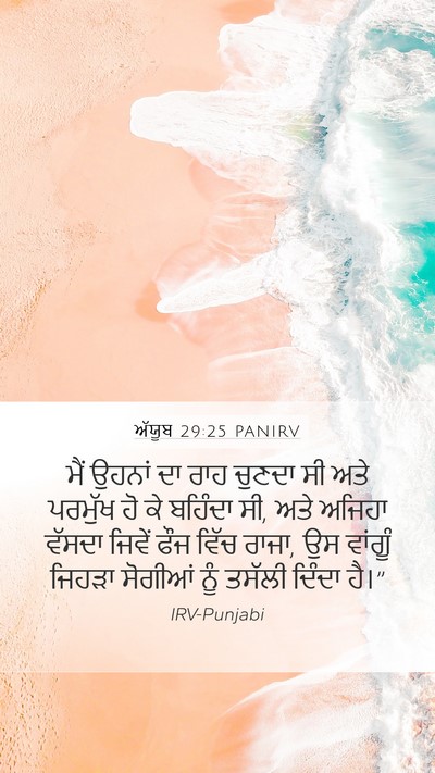 ਅੱਯੂਬ 29:25 PANIRV Bible Verse Image