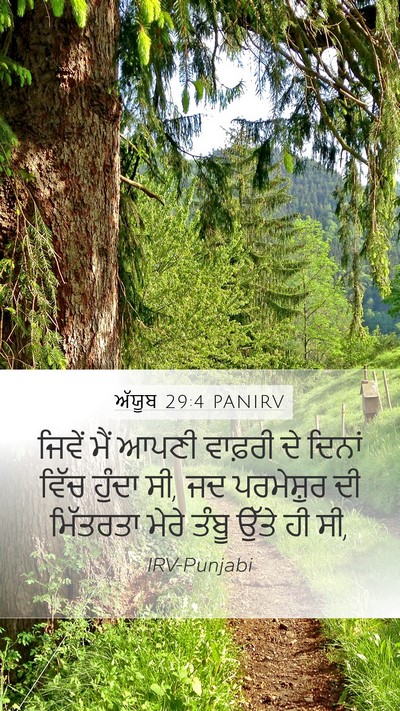 ਅੱਯੂਬ 29:4 PANIRV Bible Verse Image