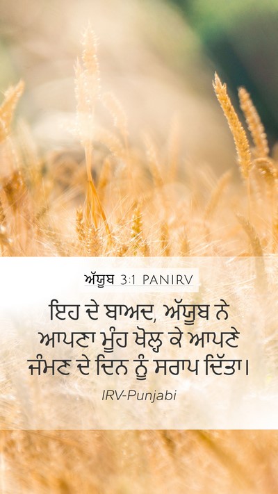 ਅੱਯੂਬ 3:1 PANIRV Bible Verse Image
