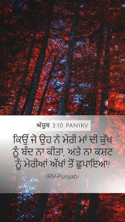 ਅੱਯੂਬ 3:10 PANIRV Bible Verse Image