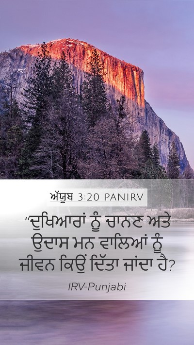 ਅੱਯੂਬ 3:20 PANIRV Bible Verse Image