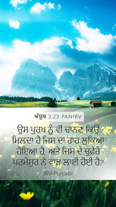 ਅੱਯੂਬ 3:23 PANIRV Bible Verse Image