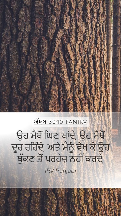 ਅੱਯੂਬ 30:10 PANIRV Bible Verse Image