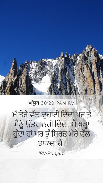 ਅੱਯੂਬ 30:20 PANIRV Bible Verse Image