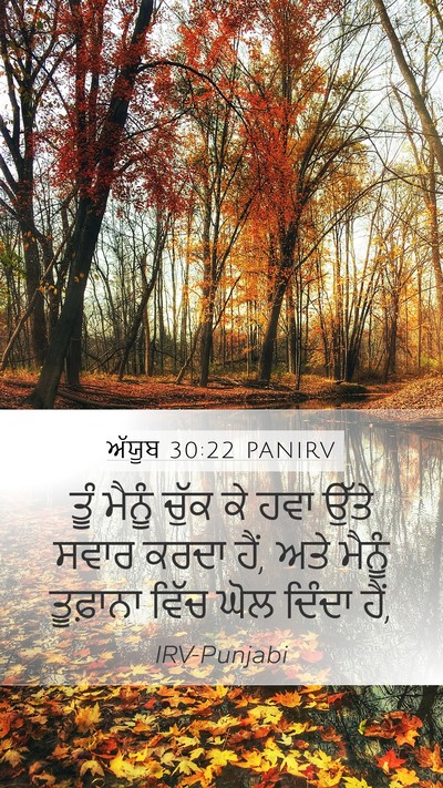 ਅੱਯੂਬ 30:22 PANIRV Mobile Phone Wallpaper - ਤੂੰ ਮੈਨੂੰ ਚੁੱਕ ਕੇ - Mobile Bible Verse Wallpaper