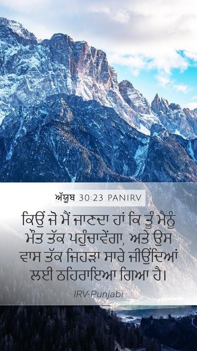ਅੱਯੂਬ 30:23 PANIRV Bible Verse Image