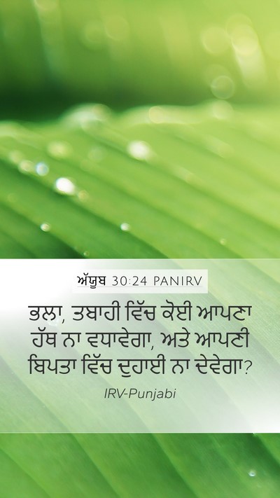 ਅੱਯੂਬ 30:24 PANIRV Mobile Phone Wallpaper - ਭਲਾ, ਤਬਾਹੀ ਵਿੱਚ ਕੋਈ - Mobile Bible Verse Wallpaper