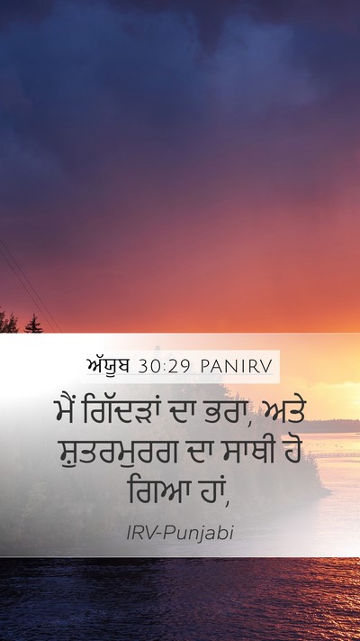 ਅੱਯੂਬ 30:29 PANIRV Bible Verse Image