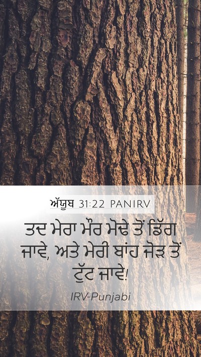 ਅੱਯੂਬ 31:22 PANIRV Mobile Phone Wallpaper - ਤਦ ਮੇਰਾ ਮੌਰ ਮੋਢੇ - Mobile Bible Verse Wallpaper
