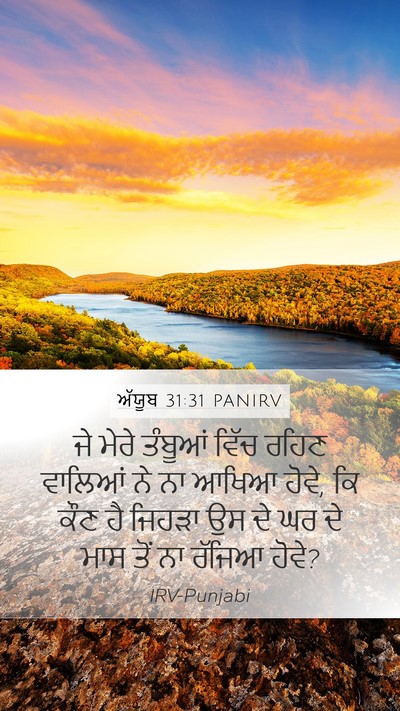 ਅੱਯੂਬ 31:31 PANIRV Bible Verse Image
