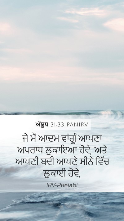 ਅੱਯੂਬ 31:33 PANIRV Bible Verse Image