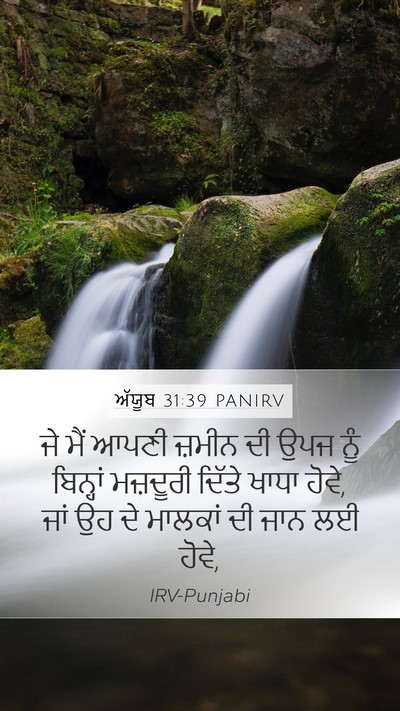 ਅੱਯੂਬ 31:39 PANIRV Bible Verse Image