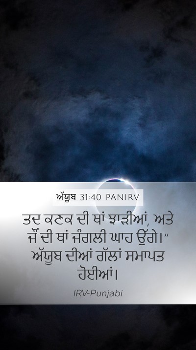 ਅੱਯੂਬ 31:40 PANIRV Bible Verse Image