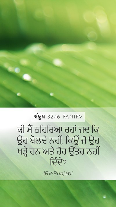 ਅੱਯੂਬ 32:16 PANIRV Mobile Phone Wallpaper - ਕੀ ਮੈਂ ਠਹਿਰਿਆ ਰਹਾਂ - Mobile Bible Verse Wallpaper