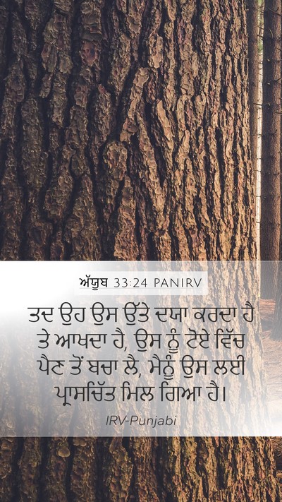 ਅੱਯੂਬ 33:24 PANIRV Bible Verse Image