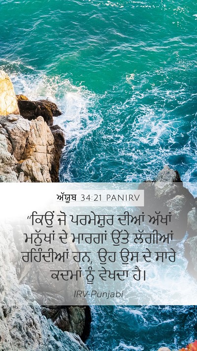 ਅੱਯੂਬ 34:21 PANIRV Bible Verse Image