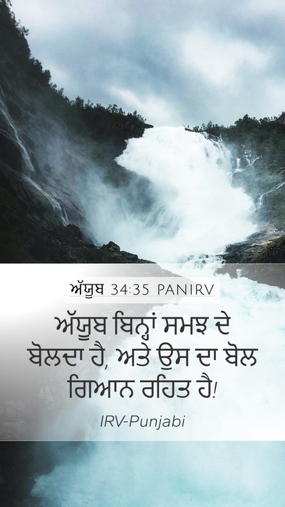 ਅੱਯੂਬ 34:35 PANIRV Bible Verse Image
