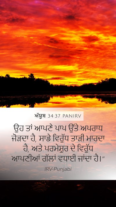 ਅੱਯੂਬ 34:37 PANIRV Bible Verse Image