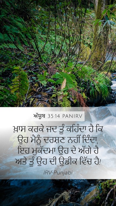 ਅੱਯੂਬ 35:14 PANIRV Bible Verse Image