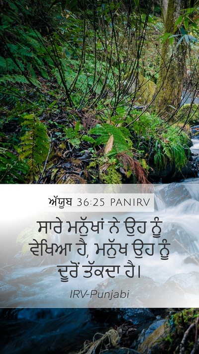 ਅੱਯੂਬ 36:25 PANIRV Mobile Phone Wallpaper - ਸਾਰੇ ਮਨੁੱਖਾਂ ਨੇ ਉਹ - Mobile Bible Verse Wallpaper