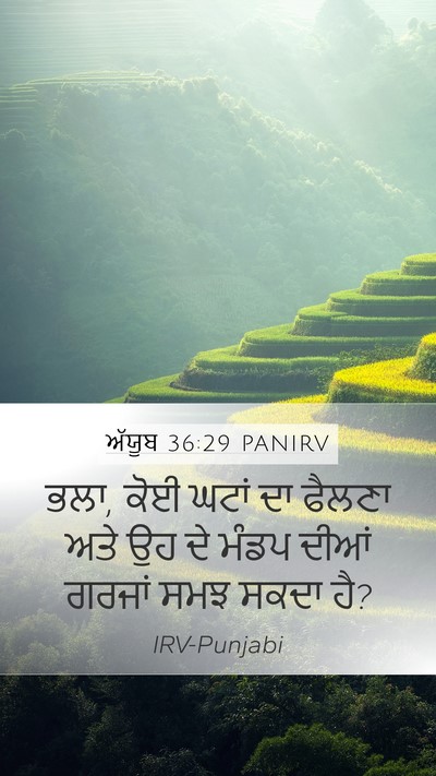 ਅੱਯੂਬ 36:29 PANIRV Bible Verse Image