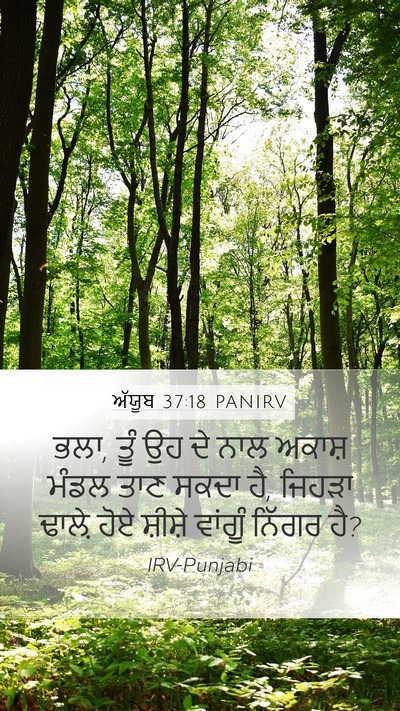 ਅੱਯੂਬ 37:18 PANIRV Mobile Phone Wallpaper - ਭਲਾ, ਤੂੰ ਉਹ ਦੇ ਨਾਲ - Mobile Bible Verse Wallpaper