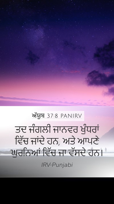 ਅੱਯੂਬ 37:8 PANIRV Mobile Phone Wallpaper - ਤਦ ਜੰਗਲੀ ਜਾਨਵਰ - Mobile Bible Verse Wallpaper