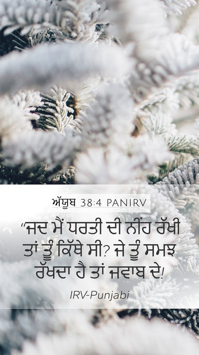 ਅੱਯੂਬ 38:4 PANIRV Bible Verse Image