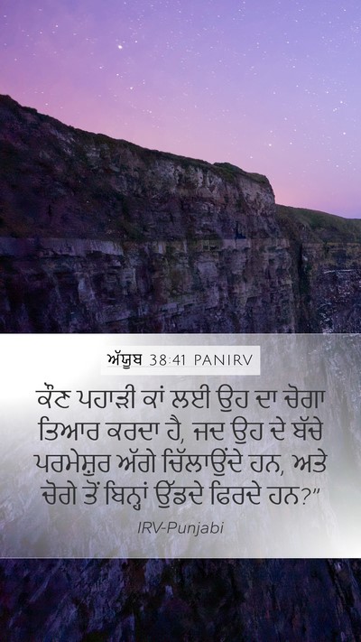 ਅੱਯੂਬ 38:41 PANIRV Bible Verse Image