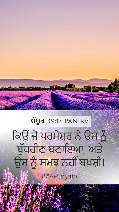 ਅੱਯੂਬ 39:17 PANIRV Bible Verse Image