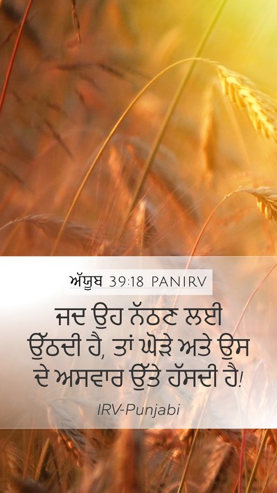 ਅੱਯੂਬ 39:18 PANIRV Bible Verse Image