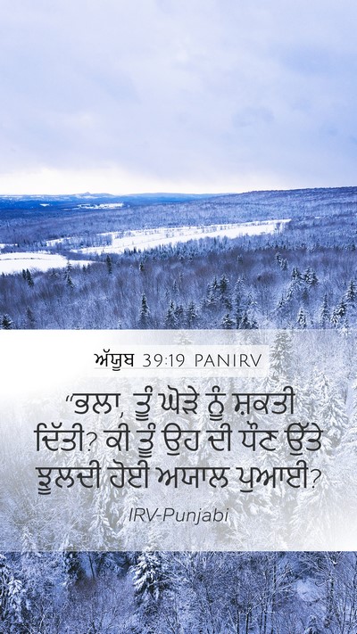 ਅੱਯੂਬ 39:19 PANIRV Bible Verse Image