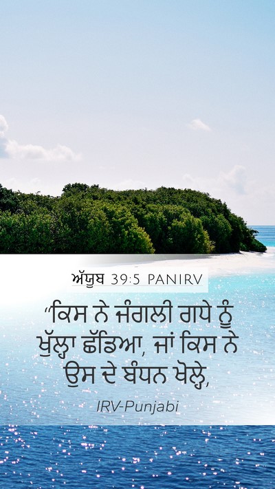 ਅੱਯੂਬ 39:5 PANIRV Bible Verse Image