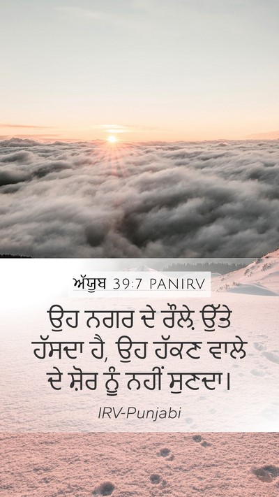 ਅੱਯੂਬ 39:7 PANIRV Bible Verse Image