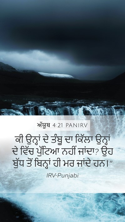 ਅੱਯੂਬ 4:21 PANIRV Bible Verse Image