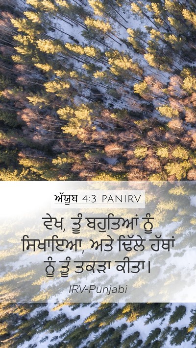 ਅੱਯੂਬ 4:3 PANIRV Bible Verse Image