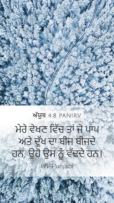 ਅੱਯੂਬ 4:8 PANIRV Bible Verse Image