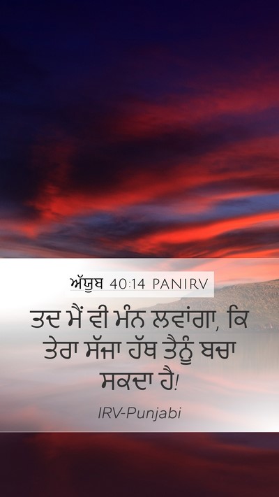 ਅੱਯੂਬ 40:14 PANIRV Bible Verse Image