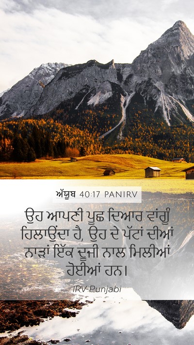 ਅੱਯੂਬ 40:17 PANIRV Bible Verse Image